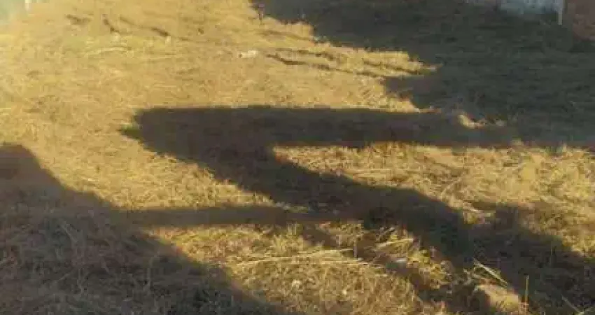 Terreno à venda na Rua Independência, 90, Santa Catarina, Sapucaia do Sul