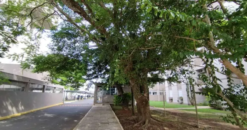 Apartamento com 2 quartos para alugar no Rio dos Sinos, São Leopoldo 