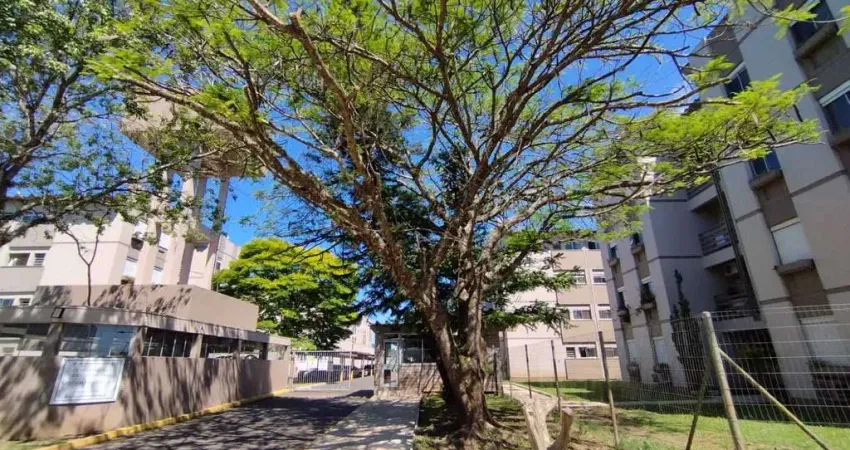 Apartamento com 2 quartos para alugar no Rio dos Sinos, São Leopoldo 