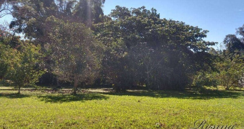 Terreno à venda na ENDEREÇO NÃO INFORMADO, Centro, Morretes