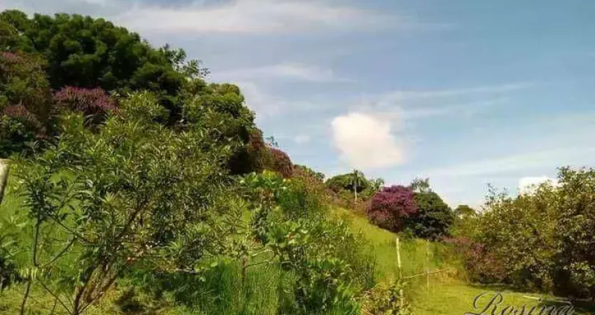 Chácara / sítio com 5 quartos à venda na ENDEREÇO NÃO INFORMADO, Zona Rural, Antonina