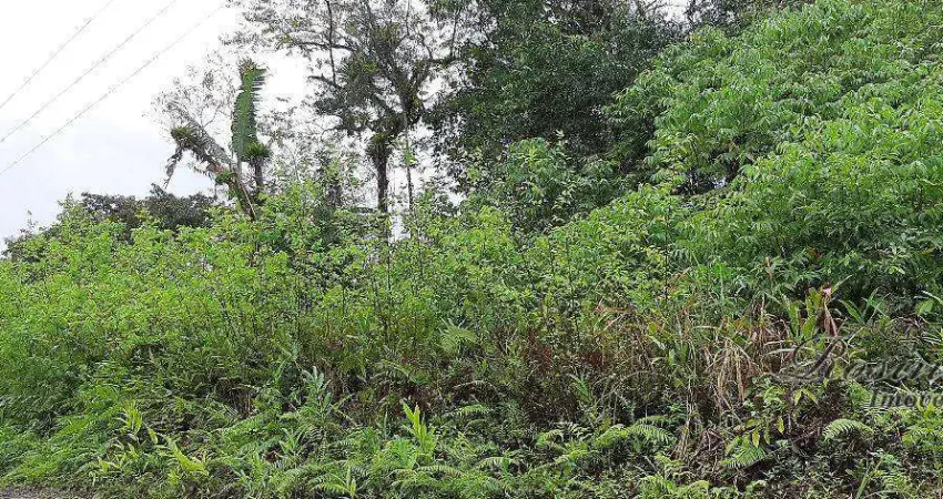 Terreno comercial à venda na ENDEREÇO NÃO INFORMADO, Braço da Figueira, Antonina