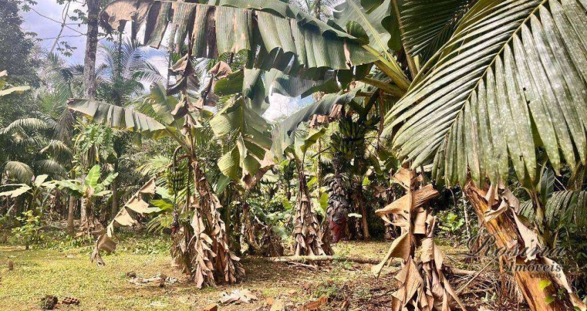 Chácara / sítio com 1 quarto à venda na ENDEREÇO NÃO INFORMADO, América de Cima, Morretes