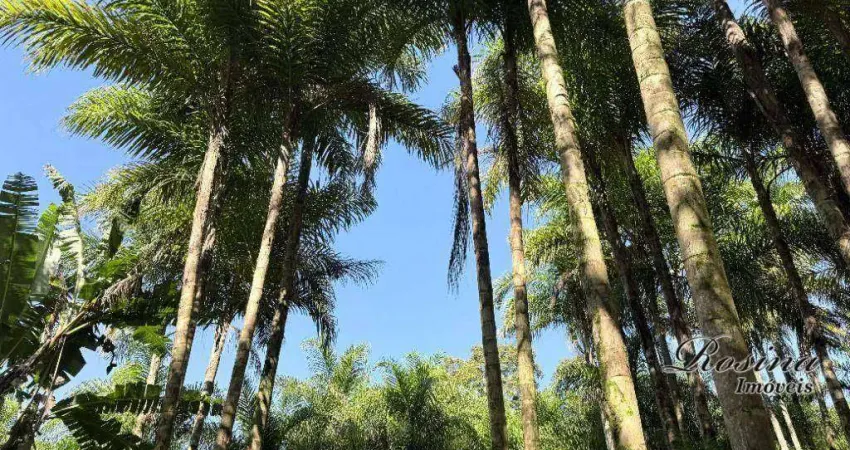 Terreno à venda na ENDEREÇO NÃO INFORMADO, Sambaqui, Morretes