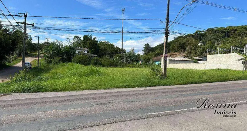 Terreno à venda na ENDEREÇO NÃO INFORMADO, Batel, Antonina