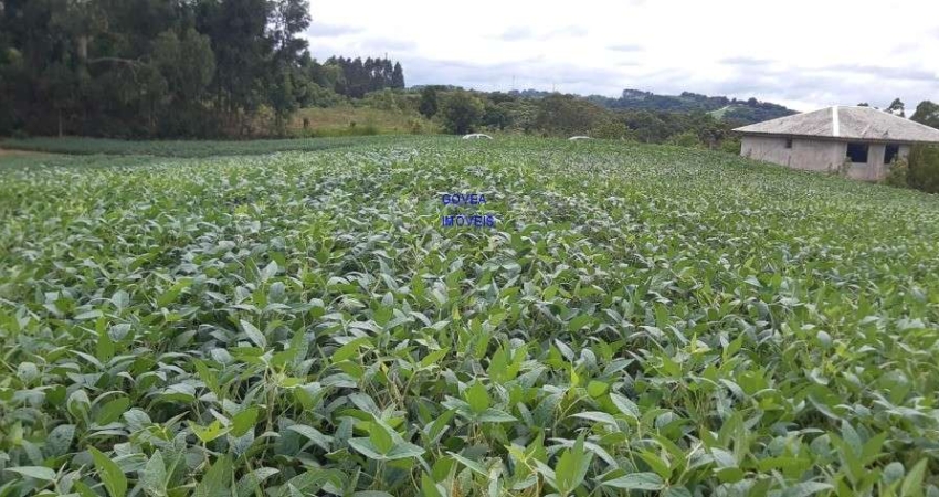 CHÁCARA 20 MIL M², ESCRITURADA E REGISTRADA * FICA A UM KM DA RODOVIA DO XISTO, NA DIVISA DE MARIENTAL COM CONTENDA