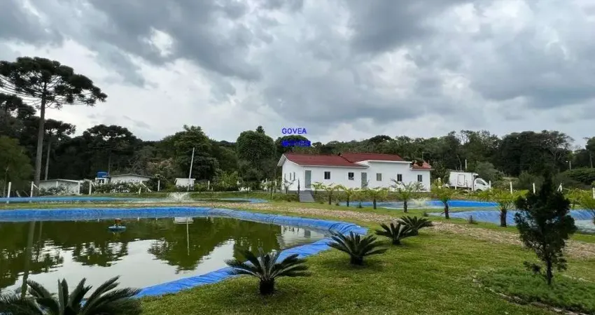 CHÁCARA 3/7 ALQUEIRES, ALTO PRODUTIVA, LAZER, CONFORTO E TRANQUILIDADE COM 1.500M² ESTUFA MORANGO, CASA ALVENÁRIA, PISCINA, TANQUES PEIXE PRODUZINDO,