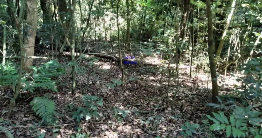 Chácara 7 milm², escriturada, aceita veiculo, estuda permuta ou parcelamento c/ proprietãrio, fica a 4 km da igreja são pedro e 11 km do asfalto