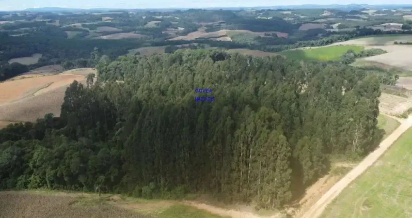 Chácara 24.000m² em contenda, com eucaliptos de 18 anos, aceita troca por imóvel urbano, casa, apartamento, terreno.