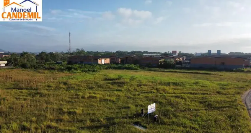 Terreno comercial à venda na Rua Patricio Monteiro Cabral, Porto Grande, Araquari