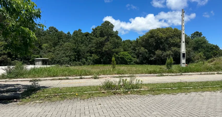Terreno à venda na rua caminho dos Areiais Lote 10 QB, 10, São João do Rio Vermelho, Florianópolis