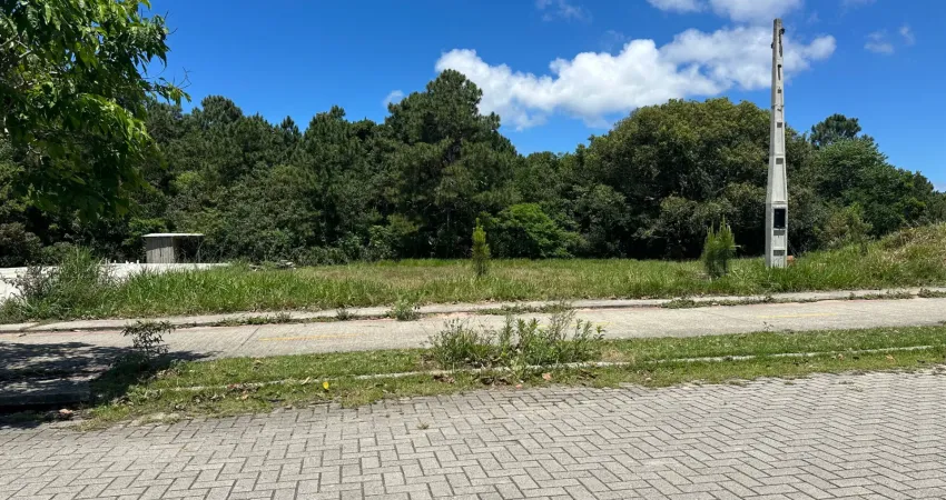 Terreno à venda na Rua caminho dos Areias, lote 09, São João do Rio Vermelho, Florianópolis