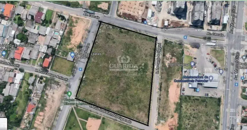 Terreno Comercial para aluguel, Sarandi - Porto Alegre/RS