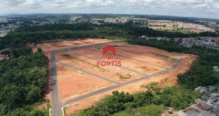Terreno à venda na Avenida Paraná, 2600, Santa Terezinha, Fazenda Rio Grande