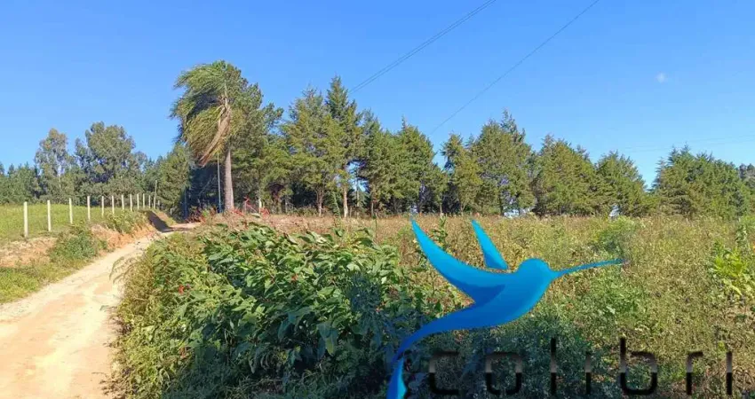 Terreno limpo, plano para formar chácara em Agudos do Sul
