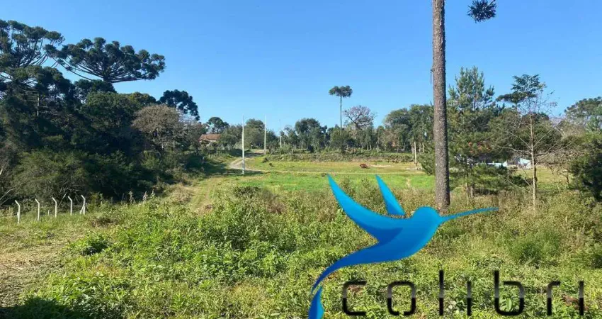 Terreno à venda na Rua Trigolândia, 8500, Trigolândia, Piên