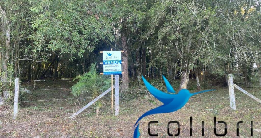 Chácara / sítio à venda na Estrada Principal do Ribeirãozinho, 9985, Ribeirãozinho, Agudos do Sul