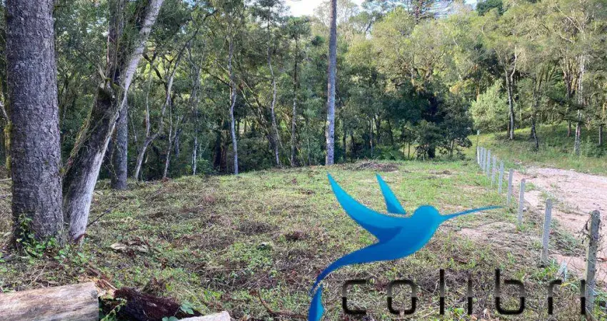 Terreno à venda na Rua Tiburcia Mendes dos Santos Oliveira, 19, Leão, Agudos do Sul