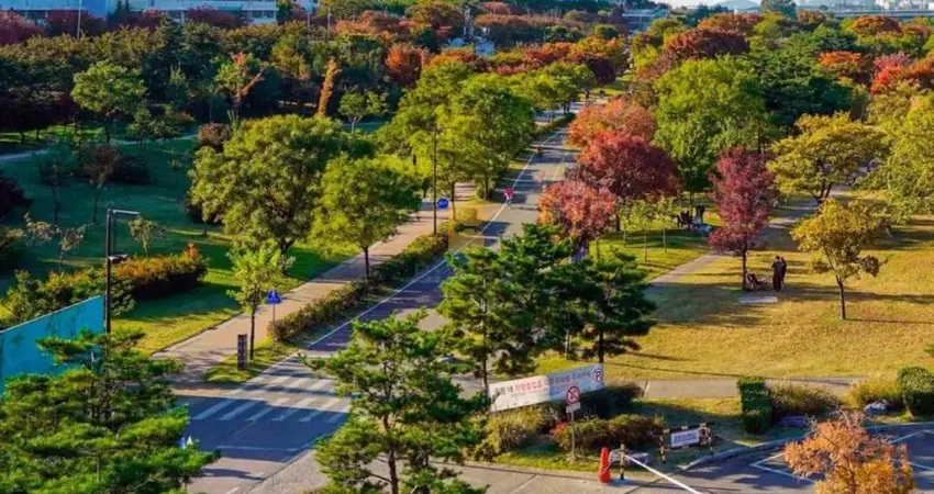 Terreno comercial à venda na Avenida Chapéu do Sol / Ginco Empresarial Manhattan, Mirante do Pary, Várzea Grande