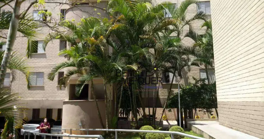 Apartamento com 2 dormitórios à venda, 60 m² por R$ 339.900,00 - Pirituba - São Paulo/SP