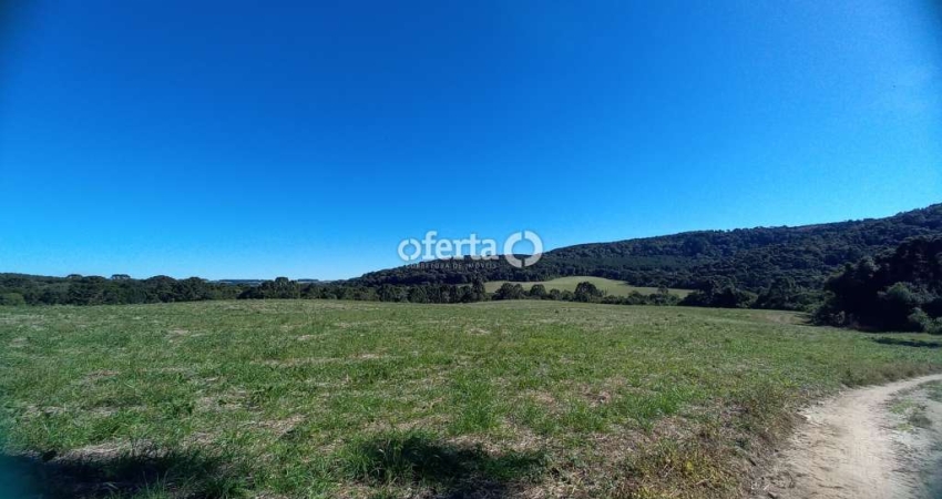 Fazenda à venda no Centro, Lapa 