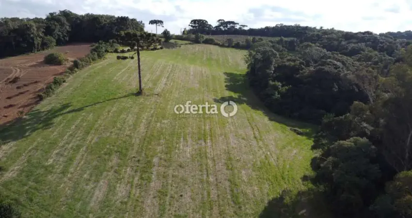 Chácara / sítio à venda no Guajuvira, Araucária 