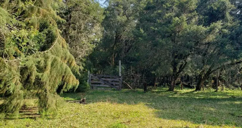 Chácara / sítio à venda no Guajuvira, Araucária 