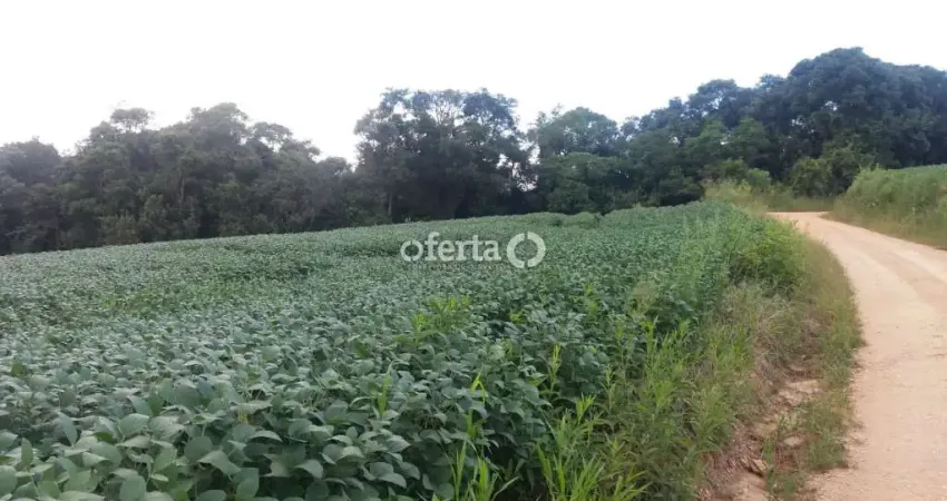 Chácara / sítio com 3 quartos à venda no Mariental, Lapa 