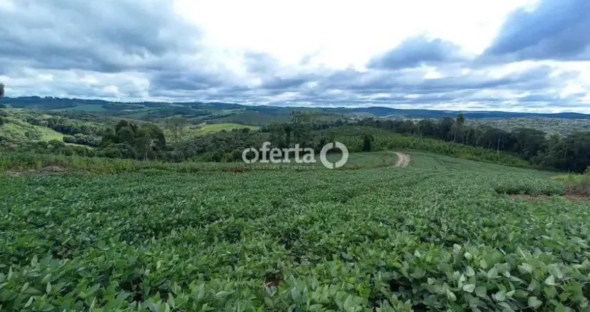 Terreno à venda no Mato Preto, Lapa 