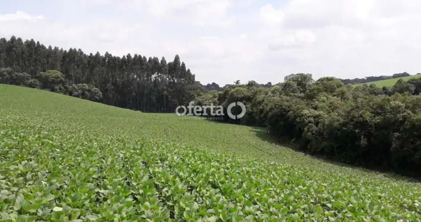 Chácara / sítio à venda em Campestre, Contenda 