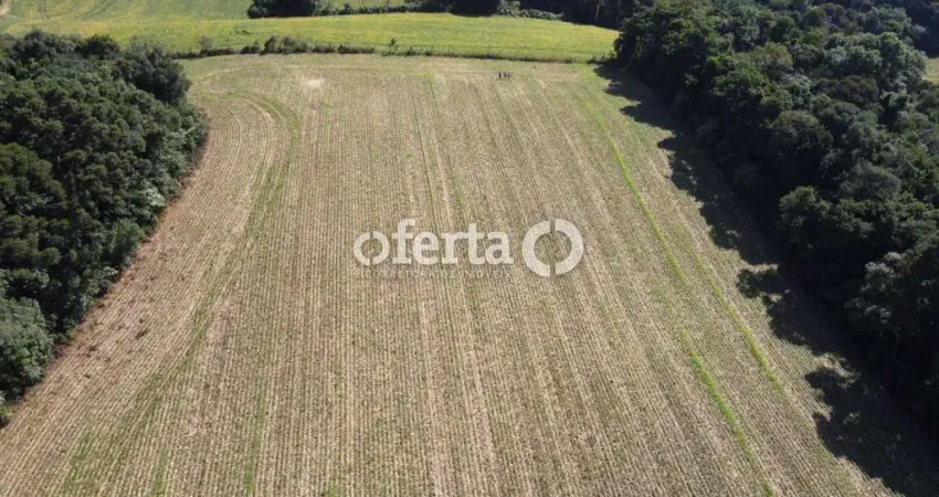 Chácara / sítio à venda em Campina das Pedras, Araucária 