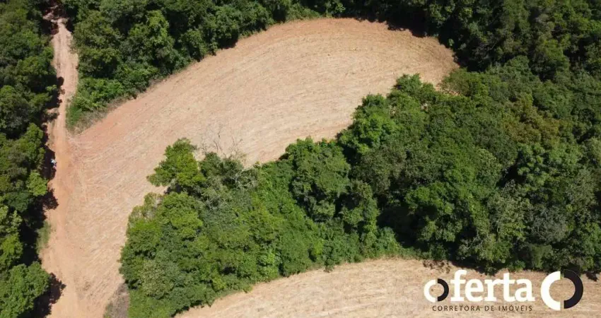 Chácara / sítio à venda no Rio Verde de Cima, Araucária 
