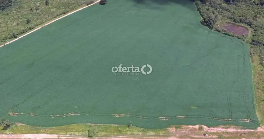 Terreno à venda em Campina das Pedras, Araucária 