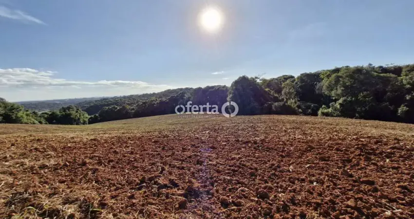 Chácara / sítio à venda em Colônia Cristina, Araucária 