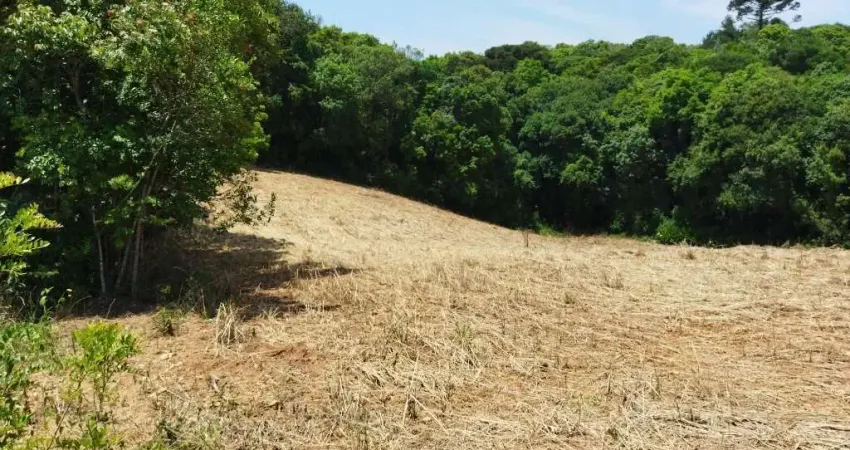 Chácara / sítio à venda no Rio Verde de Cima, Araucária 