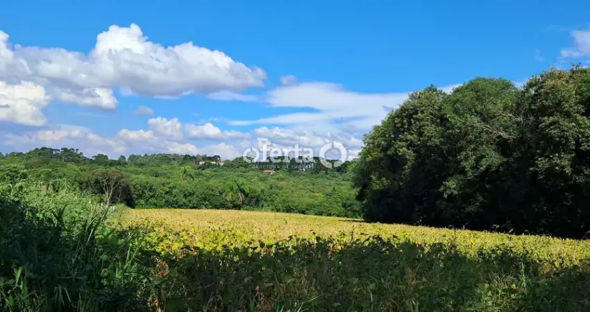 Chácara / sítio à venda em Campina das Pedras, Araucária 