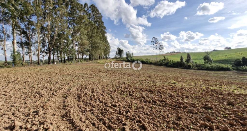 Chácara / sítio à venda na Zona Rural, Contenda 