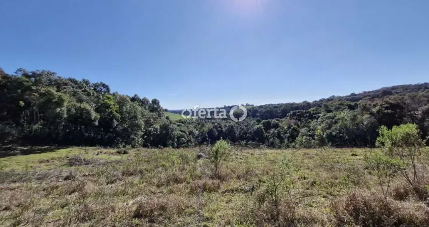 Chácara / sítio à venda no Rio Verde de Cima, Araucária 