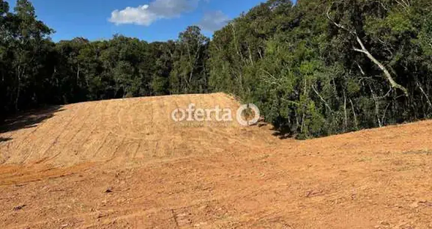 Chácara / sítio à venda no Rio Verde de Cima, Araucária 