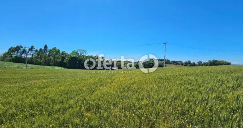 Chácara / sítio à venda em Campina das Pedras, Araucária