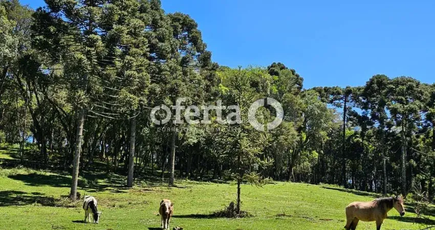 Chácara / sítio à venda em Campina das Pedras, Araucária