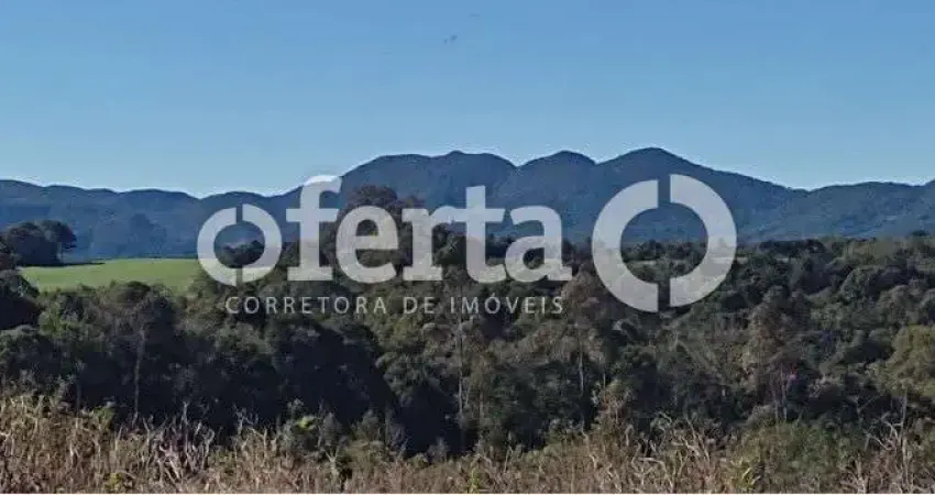 Chácara / sítio com 1 quarto à venda no Faxina, São José dos Pinhais