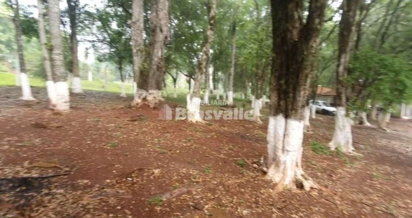 Terreno comercial à venda no Cascavel Velho, Cascavel 