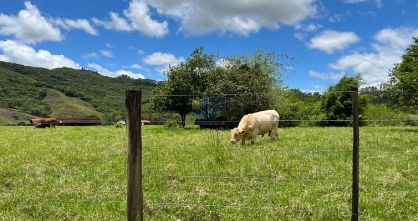 EXCELENTE FAZENDA A VENDA EM TIJUCAS GRANDE FLORIANÓPOLIS