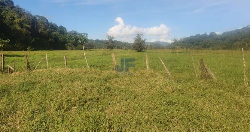Excelente oportunidade de investimento! Fazenda à venda em Luiz Alves/SC.