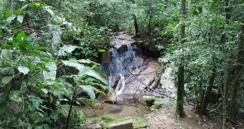 Oportunidade de compra de sítio no Cedro em Camboriú.