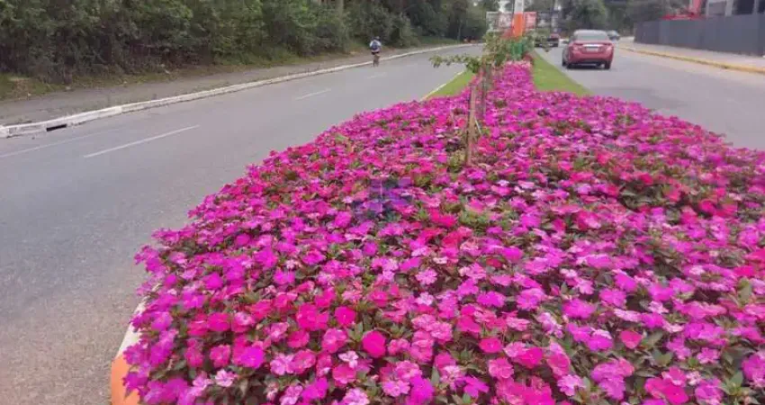 Terreno à venda na Rua Pedro Honorato Amorim, Centro, Camboriú