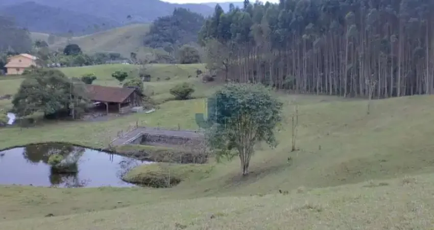 Sítio / chácara 3 quartos para venda no bairro braço em camboriú