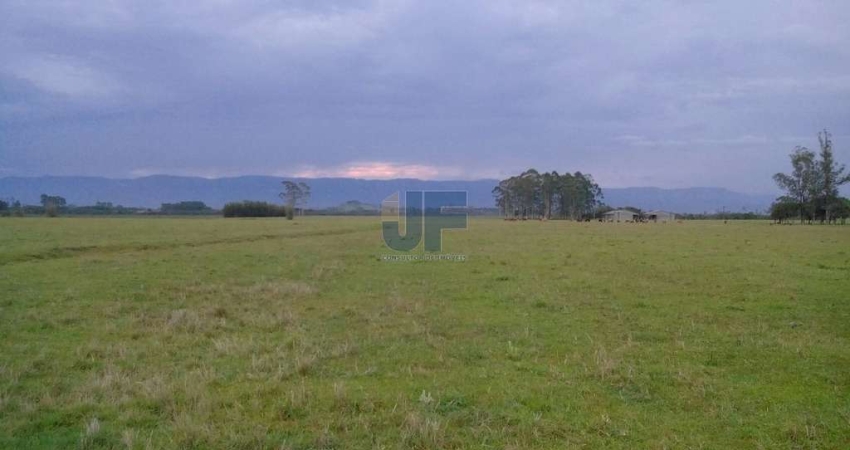 LINDA FAZENDA PECUARIA, LAVOURA ARROZ, SOJA A 15 KM DE TORRES RS