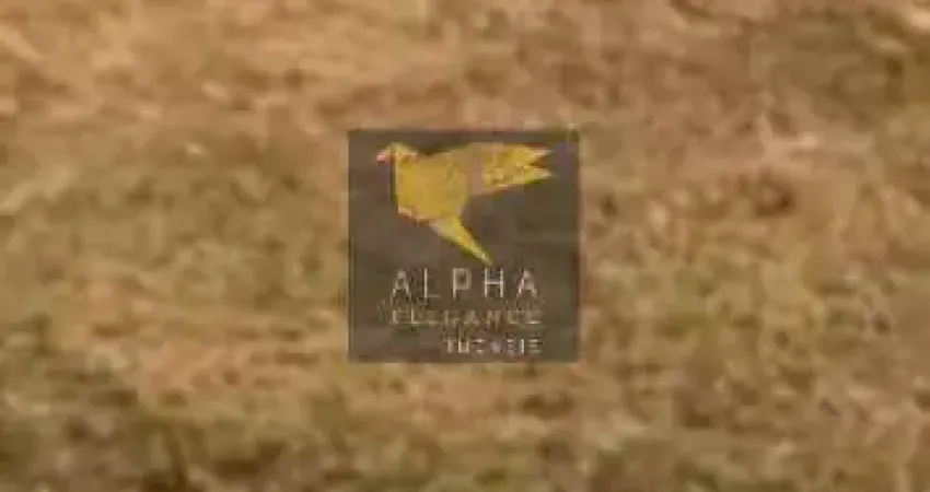 LINDO TERRENO À VENDA NO CONDOMÍNIO GENESIS 2 EM ALPHAVILLE